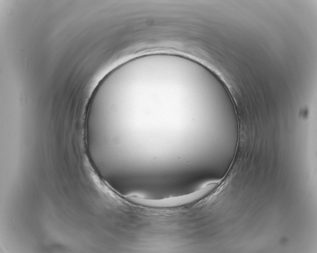 X0000093591534200711051128
