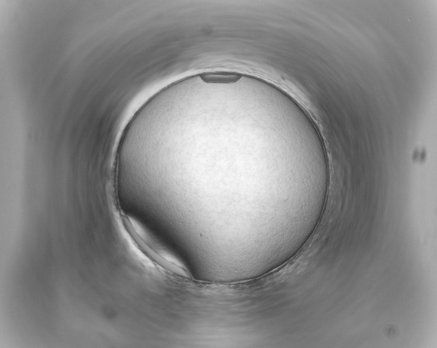 X0000093591536200711051128