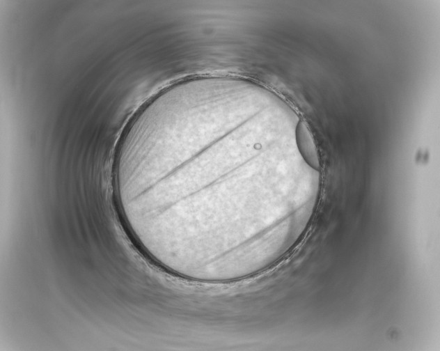 X0000093590002200711121135