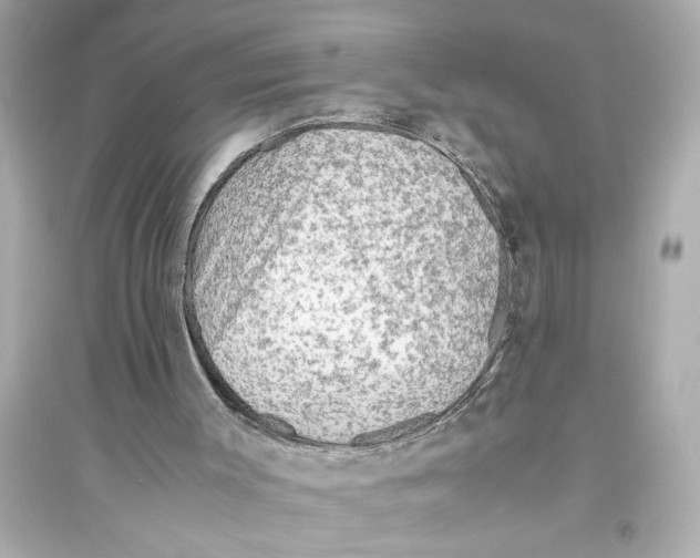 X0000093590003200711121135