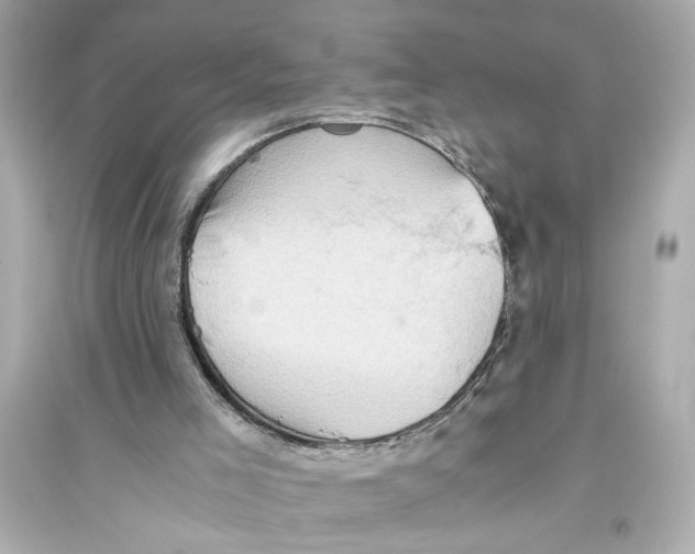X0000093590005200711121135