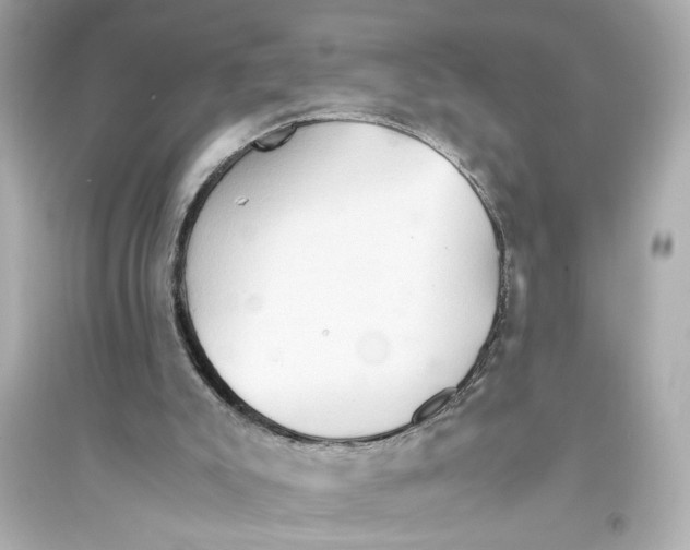 X0000093590007200711121135
