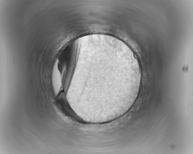 X0000093590009200711121135