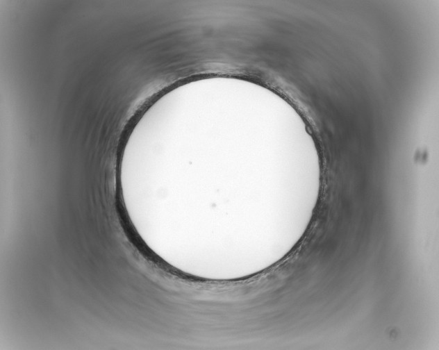 X0000093590011200711121135