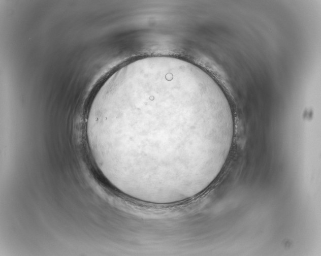 X0000093590012200711121135