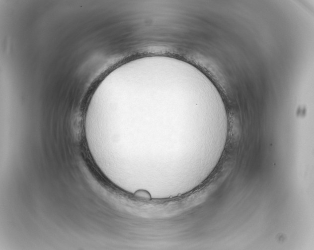 X0000093590016200711121135