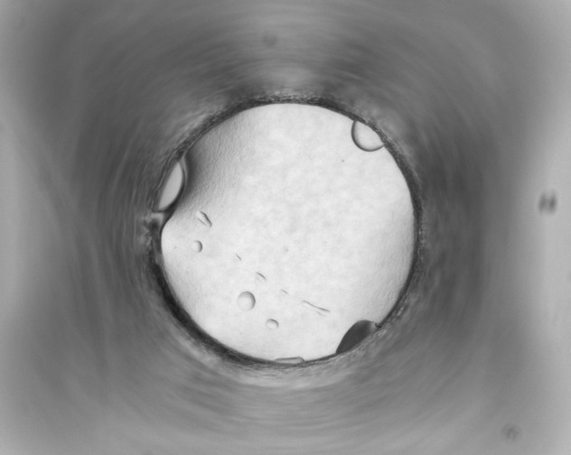 X0000093590017200711121135