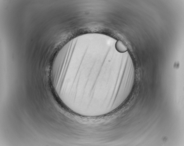 X0000093590018200711121135