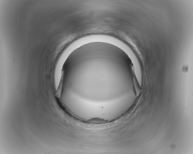 X0000093590019200711121135