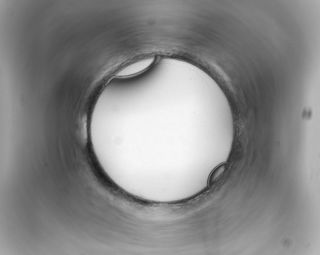 X0000093590020200711121135