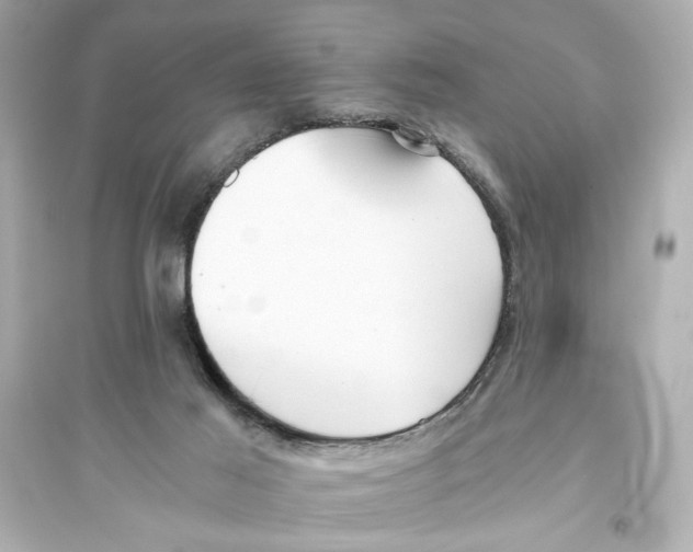 X0000093590021200711121135