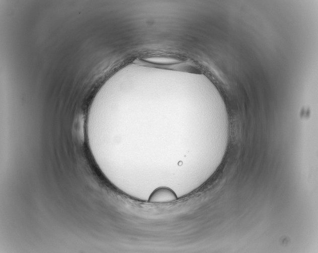 X0000093590022200711121135