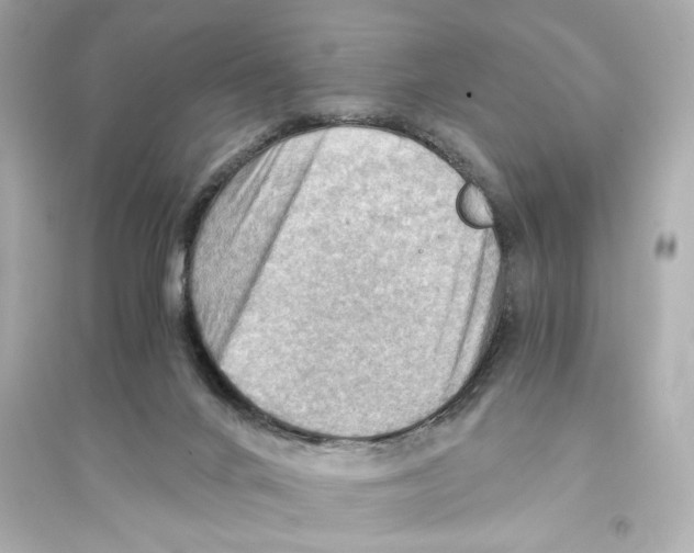 X0000093590024200711121135