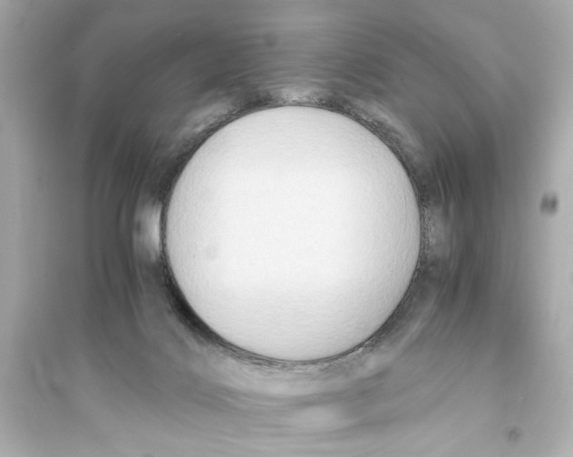 X0000093590028200711121135