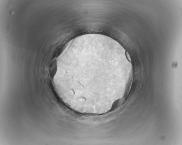 X0000093590029200711121135