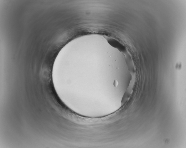 X0000093590031200711121135