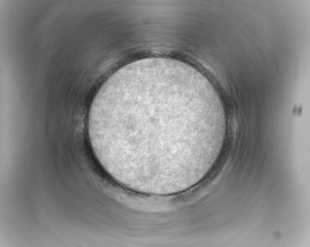 X0000093590032200711121135