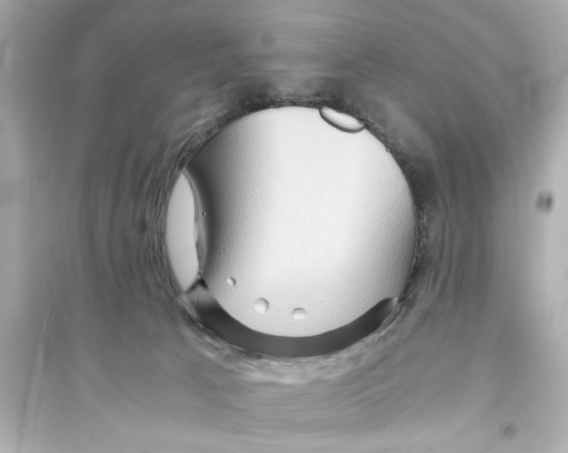 X0000093590033200711121135