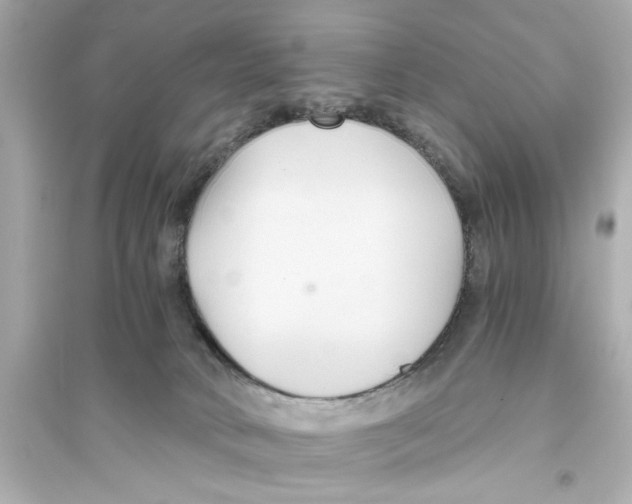 X0000093590034200711121135