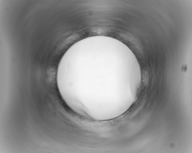 X0000093590036200711121135