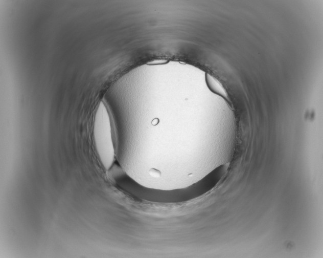 X0000093590037200711121135