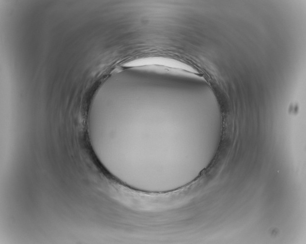 X0000093590039200711121135
