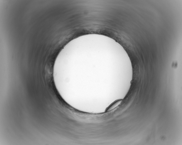 X0000093590040200711121135