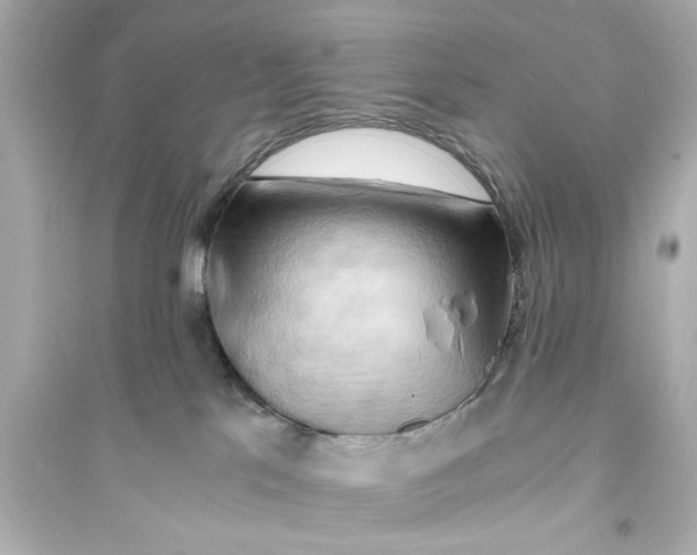 X0000093590041200711121135