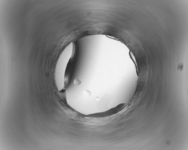 X0000093590045200711121135