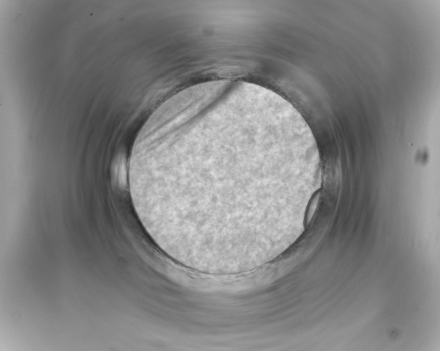 X0000093590046200711121135