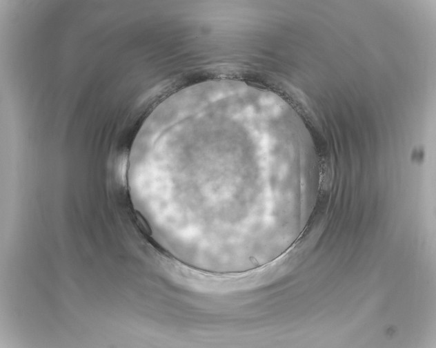 X0000093590047200711121135