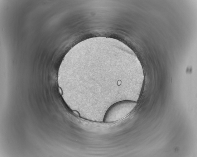 X0000093590048200711121135