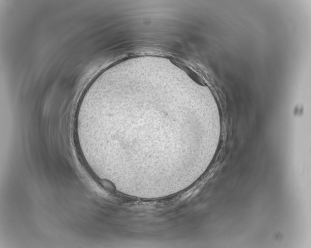X0000093590049200711121134