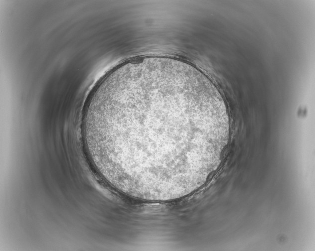 X0000093590050200711121134