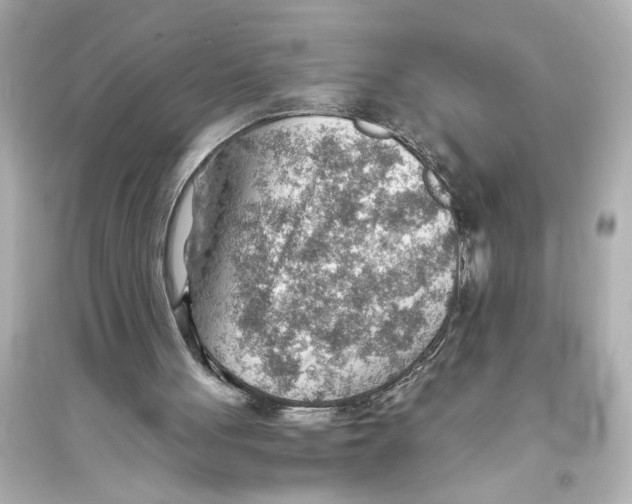 X0000093590051200711121134