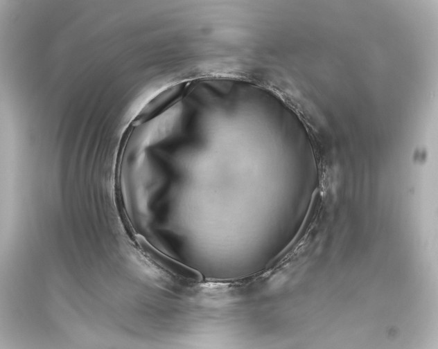 X0000093590052200711121134