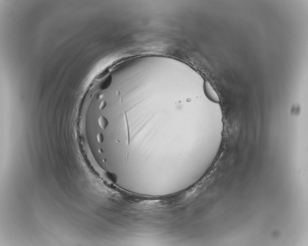 X0000093590054200711121134
