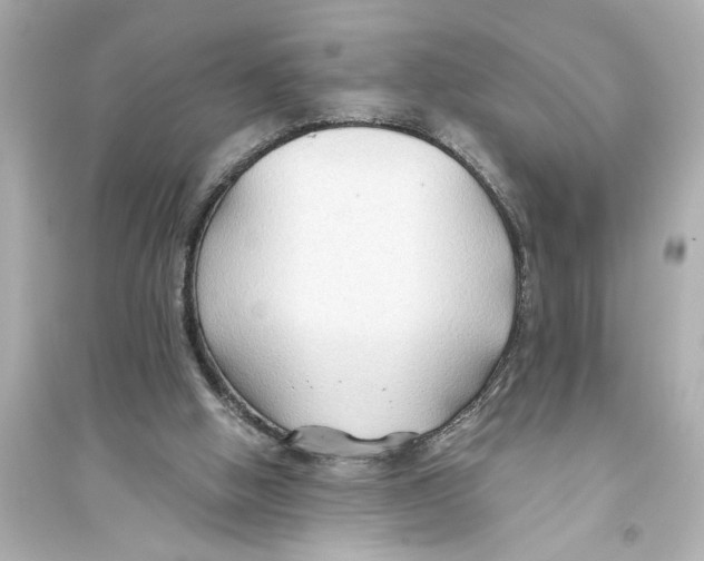 X0000093590058200711121134