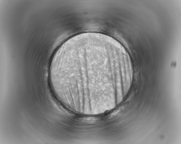 X0000093590059200711121134