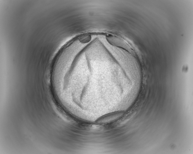 X0000093590060200711121134