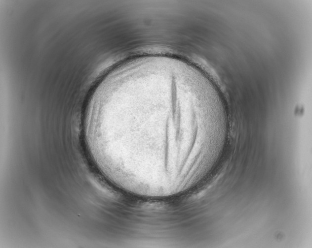 X0000093590063200711121134