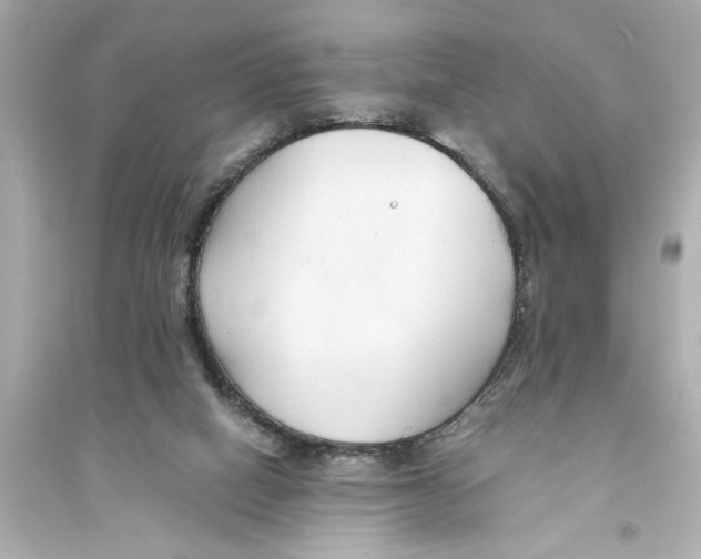X0000093590066200711121134