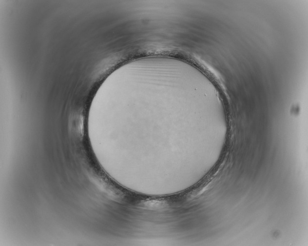 X0000093590067200711121134