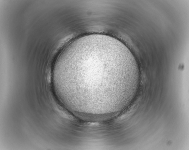 X0000093590068200711121134
