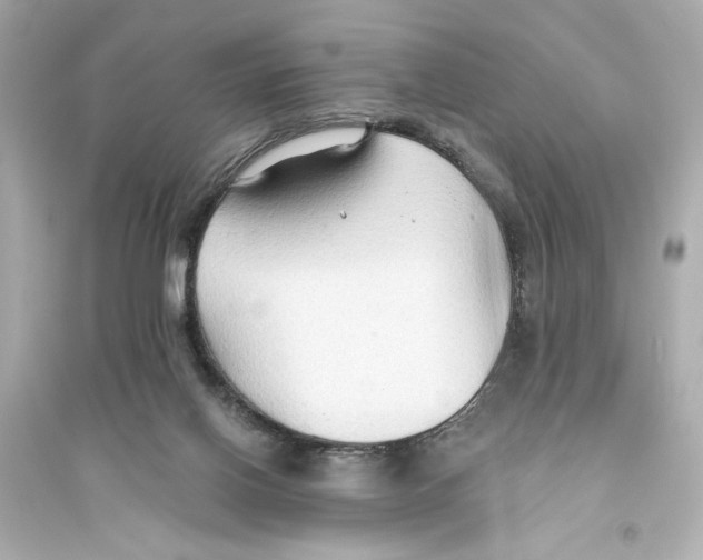 X0000093590070200711121134