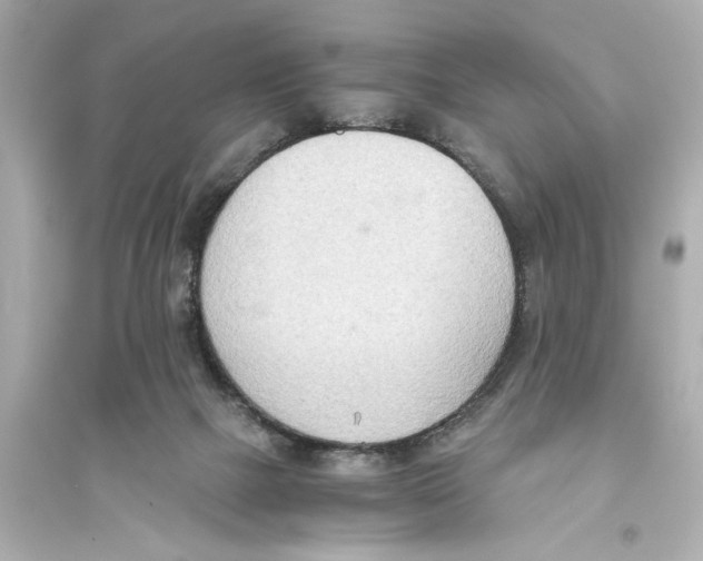 X0000093590073200711121134