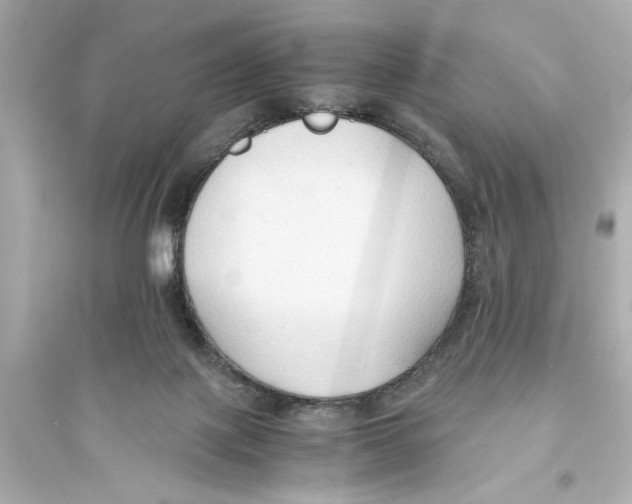 X0000093590075200711121134