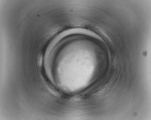 X0000093590076200711121134