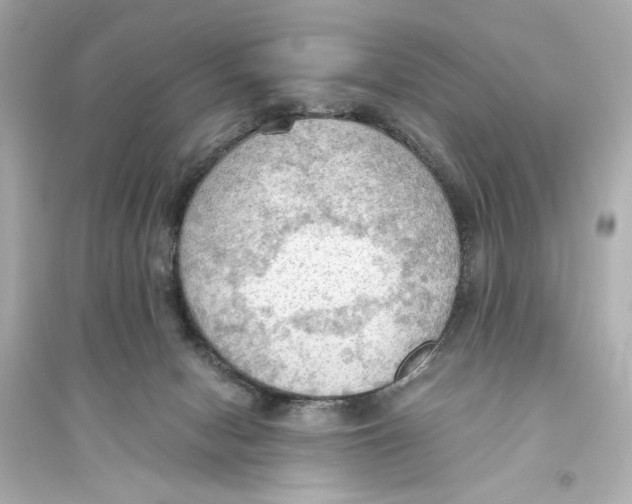 X0000093590078200711121134