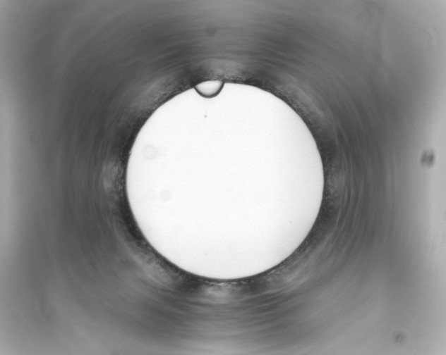 X0000093590079200711121134